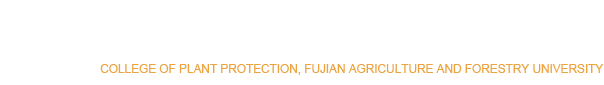 糖果派对
